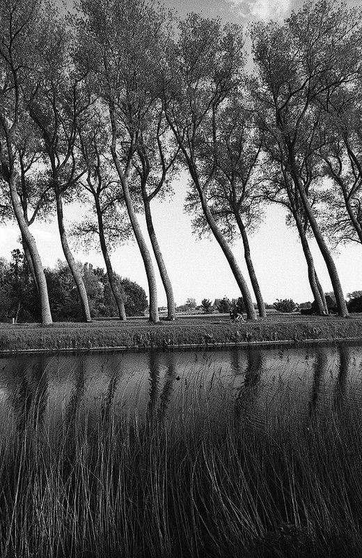 Photographe noir et blanc procédé ancien Belgique