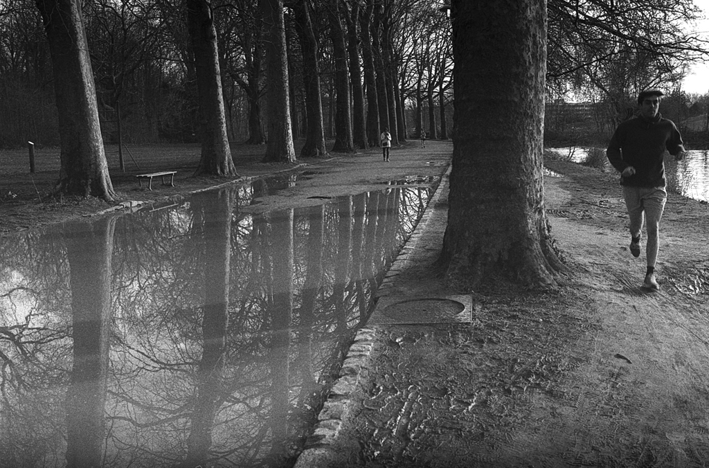 Trouver l'inspiration dans une flaque d'eau. Reflets des arbres dans l'eau sur le chemin de la citadelle de Lille. photo noir et blanc argentique développement maison film Foma et Ilfosol 3. 